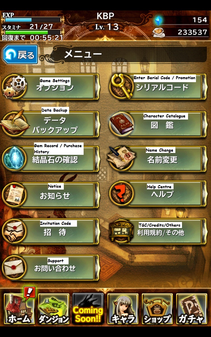 Bravely Archive D S Report Guide Kongbakpao